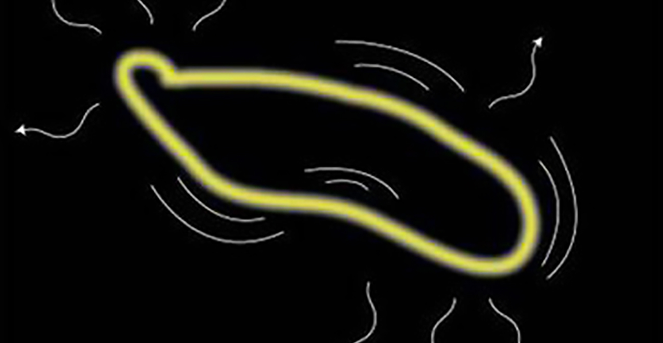 String Theory and the Future of Particle Physics - TIB AV-Portal