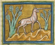 Rochester bestiary Monoceros