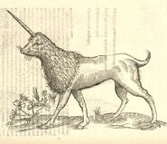 Aldrovandi Camphurch.jpg (1.55 MB) In Ulisse Aldrovandi