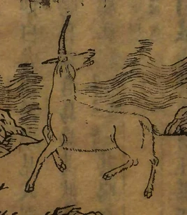 Image of Dongdong
