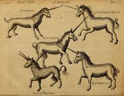 Pierre Pomet Complete History of Drugs unicorns.jpg