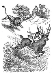 Behind him a fierce roar indicated that the lion was in pursuit.