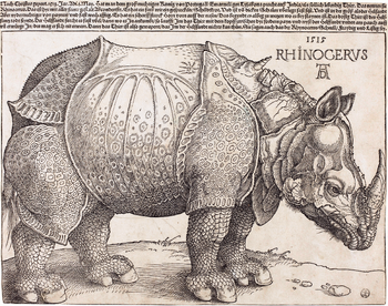 Image of Rhinoceros