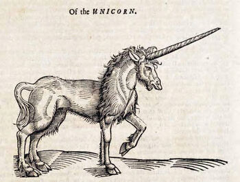 Image of the unicorn