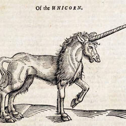 Heraldic unicorn