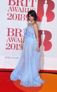 Camila Cabello at Brit Awards 2018 Red Carpet (23)