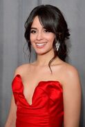 Camila Cabello on the red carpet at GRAMMYs 2018 (23)