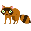 Racoon Grand Glade