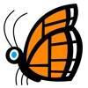 Bug 2