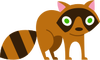 Raccoon