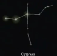 Cygnus