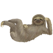Sloth