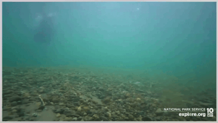 UW GIF 2022.07.24 BUOYANT BRUIN SMALLER GIF SCOOCH p 2022.07.25 15.23