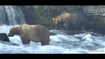 Beautiful_backpack_89_and_Otis_at_the_falls_July_28th_2020,_video_by_Ratna_Narayan