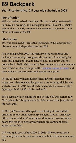 89 Backpack's page in the 2022 Bears of Brooks River book page 67