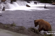203(?) taking their meal to go July 16, 2022 gif created by LunaCre (p 07/17/22 09:28)