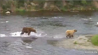 9_Jul_2019_856_Chases_854_Divot_by_mckate