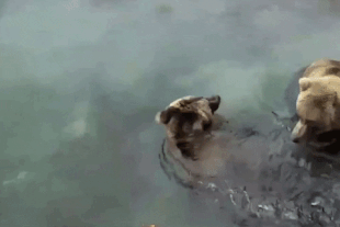 27 (left) and 164 (right) October 2, 2021 gif by LunaCre