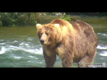 89_-_Explore.org_July_17,_2022-2