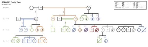 Family-tree-rq-024-209