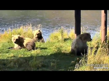 19_Sep_2020-_129,_131,_and_133_Return