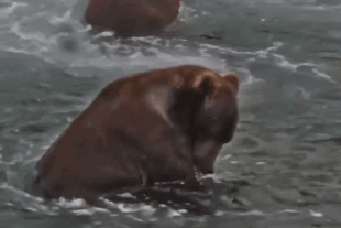 99 July 23, 2022 gif by LunaCre