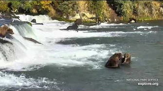 32_Chunk_and_503_play_fight_in_the_jacuzzi_9_24_2018,_video_by_Lani_H