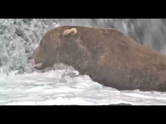 856_is_back_-_Explore.org_September_4,_2021