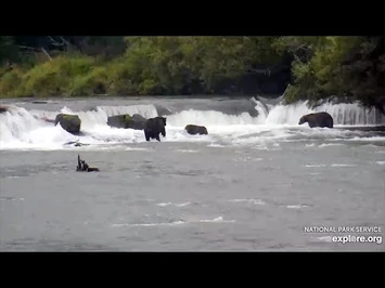 31_Aug_2020-_747_and_89_Share_the_Far_Pool