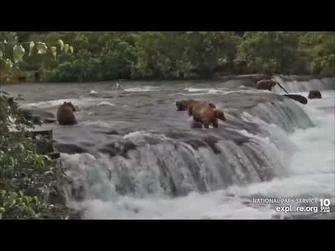 BF_856_clears_128s_and_128s_clear_the_lip_08052022