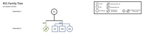 Family-tree-rq-451