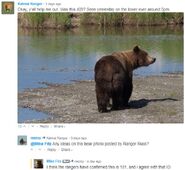 Mike Fitz' June 4, 2018 08:37 comment ~ He agrees with the ID of 151 Walker as the bear Ranger Russ photographed on June 1, 2018 at approximately 17:00
