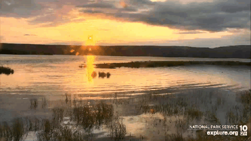 2022.07.13 GIF RECAP CRUISER p 2022.07.14 07.43