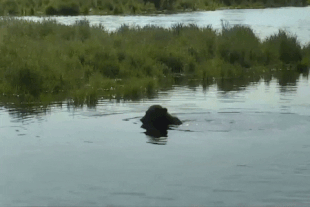 27 July 14, 2021 gif by LunaCre