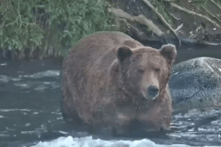 99 October 12, 202 gif by LunaCre