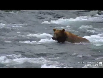 151_Walker_Riffles_cam_Explore.org_7-14-2022-2