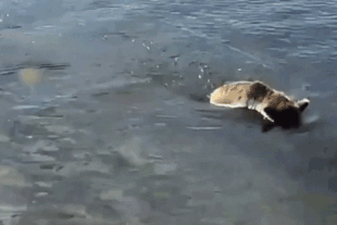 27 September 29, 2021 gif by LunaCre