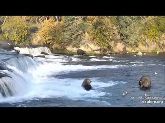 83_Wayne_Brother_displaces_480_Otis_out_of_the_jacuzzi_09.26.20