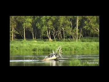 Holly_and_Little_am_round_RW_July_3_2021_explore.org