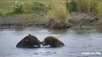 Wrestlemania_2_-_The_Rematch_September_11,_2014_by_JoeBear_(89_Backpack_&_32_Chunk)