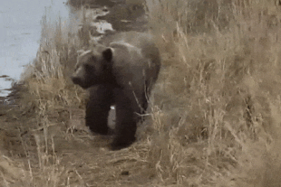 27 October 27, 2021 gif by LunaCre .02