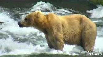 435_Holly_returns_Jun_23_2019_by_Cruiser