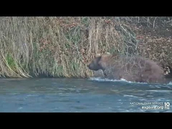 903_Does_Some_Snorkeling_-_October_12,_2022_(explore.org)