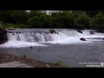 903_fish-a-thon_Part_1_of_2_2022_07_14_explore.org