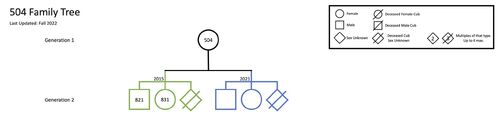 Family-tree-rq-504