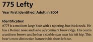 775 Lefty's page of the 2016 Bears of Brooks River book, page 77 ~ Identification section only