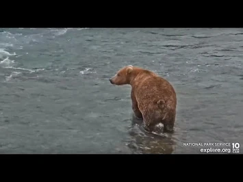 903_-_Explore.org_October_18,_2022-2