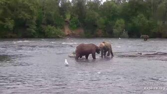 OTIS 480 PIC 2023.07.26 NATURES FOLIO FISHING REPORT 07 747 GREETS 480 SANDBAR