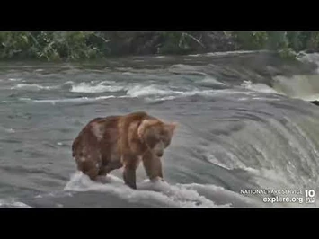 89_Backpack_Brooks_Falls_cam_Explore.org_7-18-2022-2