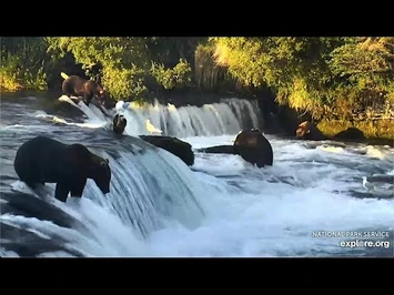 8_Aug_2020-_912_Near_Lip,_913_Far_Lip